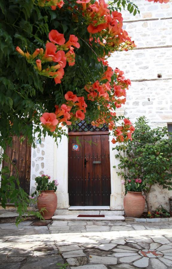 Archontiko Blana Villa Vyzitsa Exterior photo