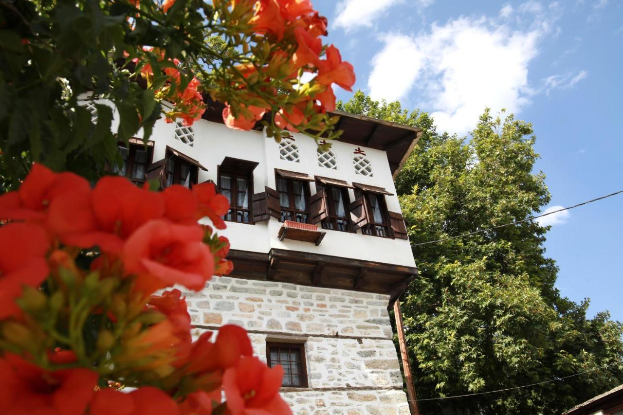 Archontiko Blana Villa Vyzitsa Exterior photo